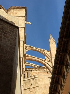 2e1748ad6478137a-photo.jpeg
