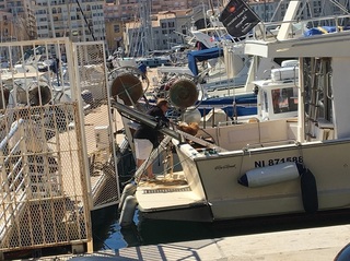 67cbb9747fa7eed5-photo.jpeg