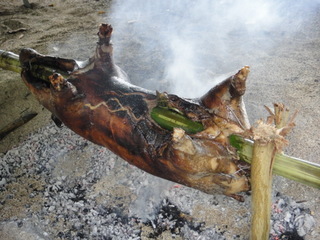 DSC00309.JPG