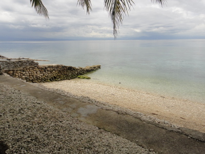 DSC01651.JPG