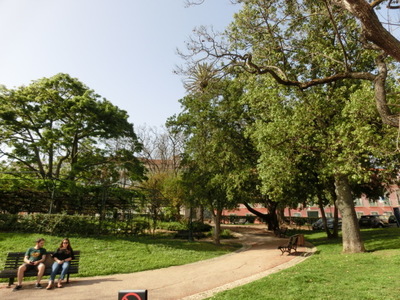 CIMG5988.JPG