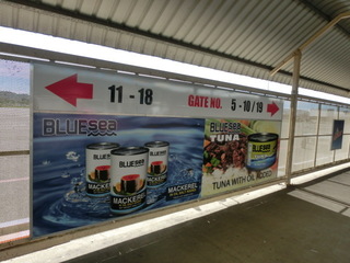 CIMG6248.JPG