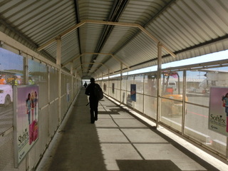 CIMG6249.JPG