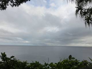 CIMG6553.JPG