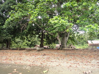 DSC00467.JPG