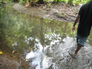 DSC00483.JPG