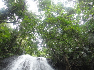 DSC00496.JPG