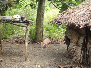 DSC00526.JPG