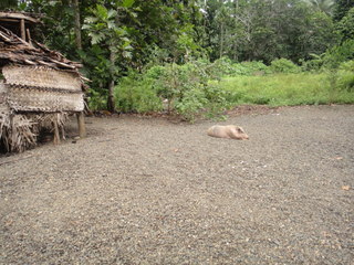 DSC00527.JPG