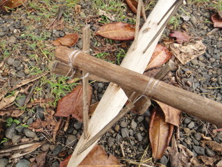 DSC00533.JPG