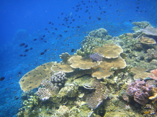 DSC00881.JPG