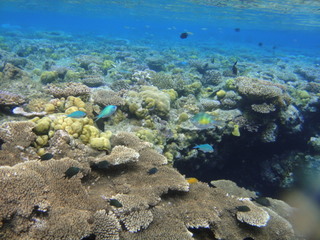 DSC00890.JPG