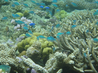 DSC00912.JPG