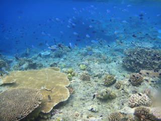 DSC00916.JPG