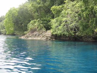DSC00928.JPG