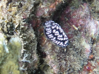 DSC00956.JPG