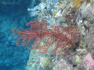 DSC00960.JPG