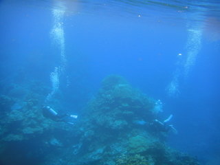 DSC00974.JPG