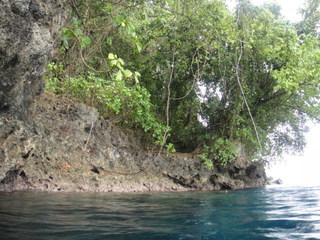 DSC00976.JPG