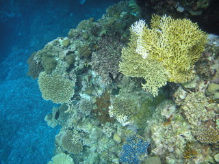 DSC00977.JPG