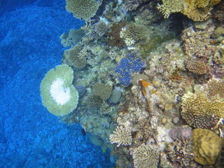 DSC00978.JPG
