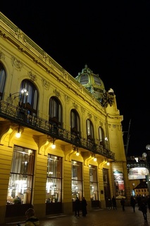 DSC01991.JPG
